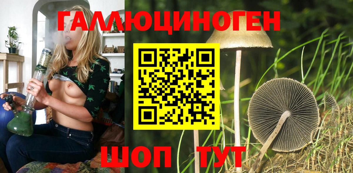 Галлюциногенные грибы GOLDEN TEACHER Невинномысск