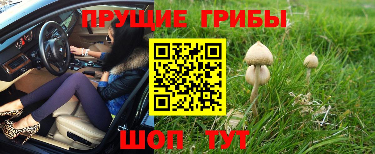 купить наркоту  Невинномысск  Псилоцибиновые грибы Magic Shrooms 