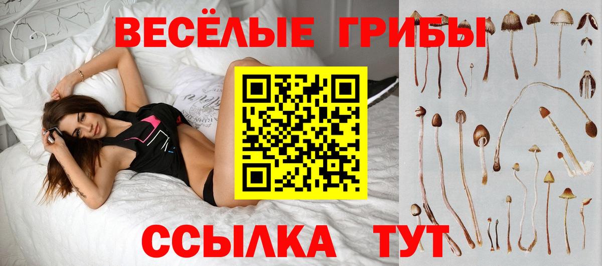 Псилоцибиновые грибы мицелий  Вход с VPN  Невинномысск 