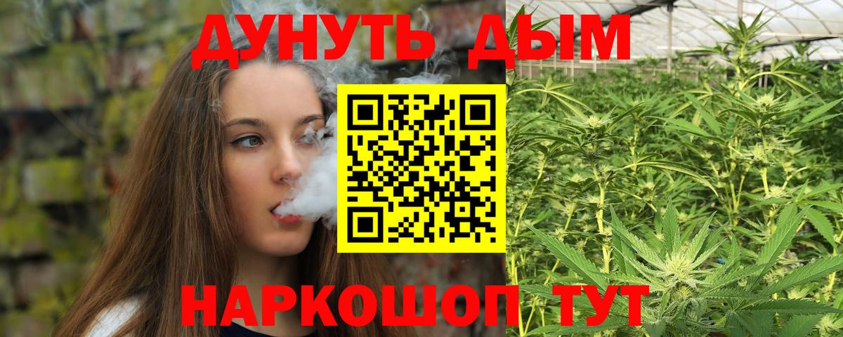 Конопля планчик  МАРИХУАНА Bruce Banner  Конопля MAZAR  Невинномысск  Вход с VPN  Бошки марихуана семена 
