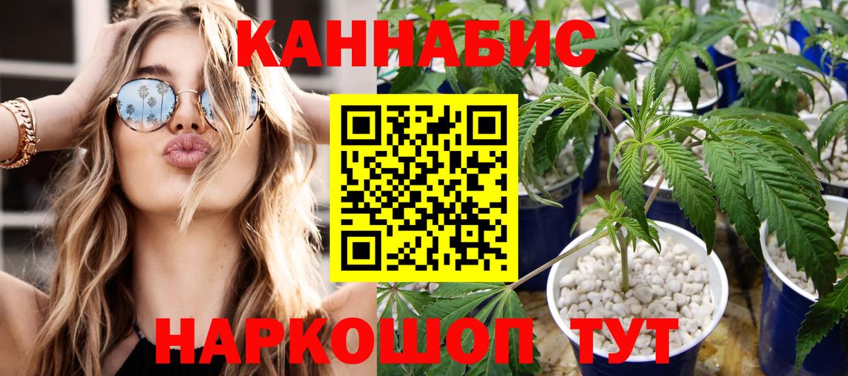 Бошки марихуана марихуана Невинномысск